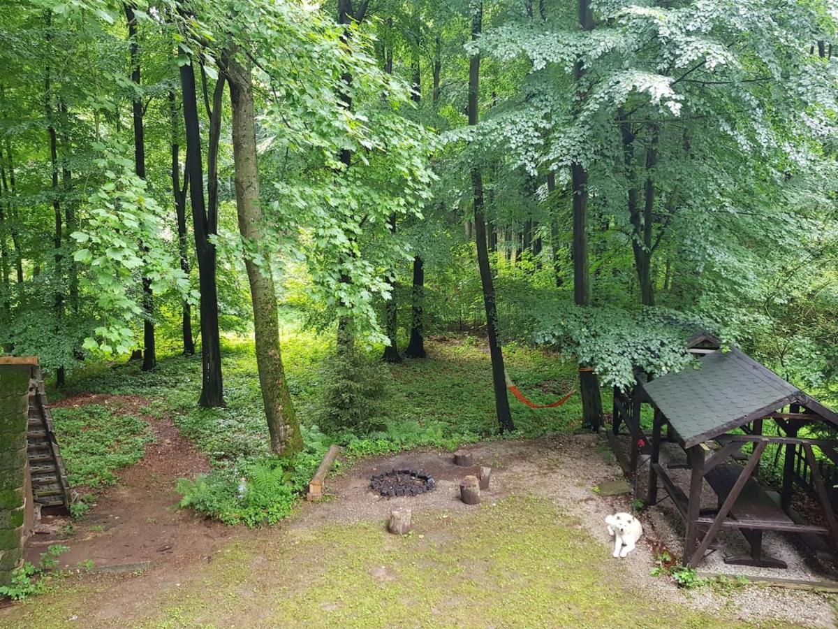 Slovak Cottage Near Bratislava In The Heart Of The Carpathians Modra Exterior photo